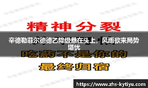 辛德勒菲尔德德乙降级悬在头上,风雨欲来局势堪忧